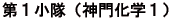 Pi_剻wPj