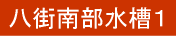 X암P