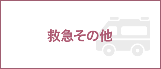 救急その他